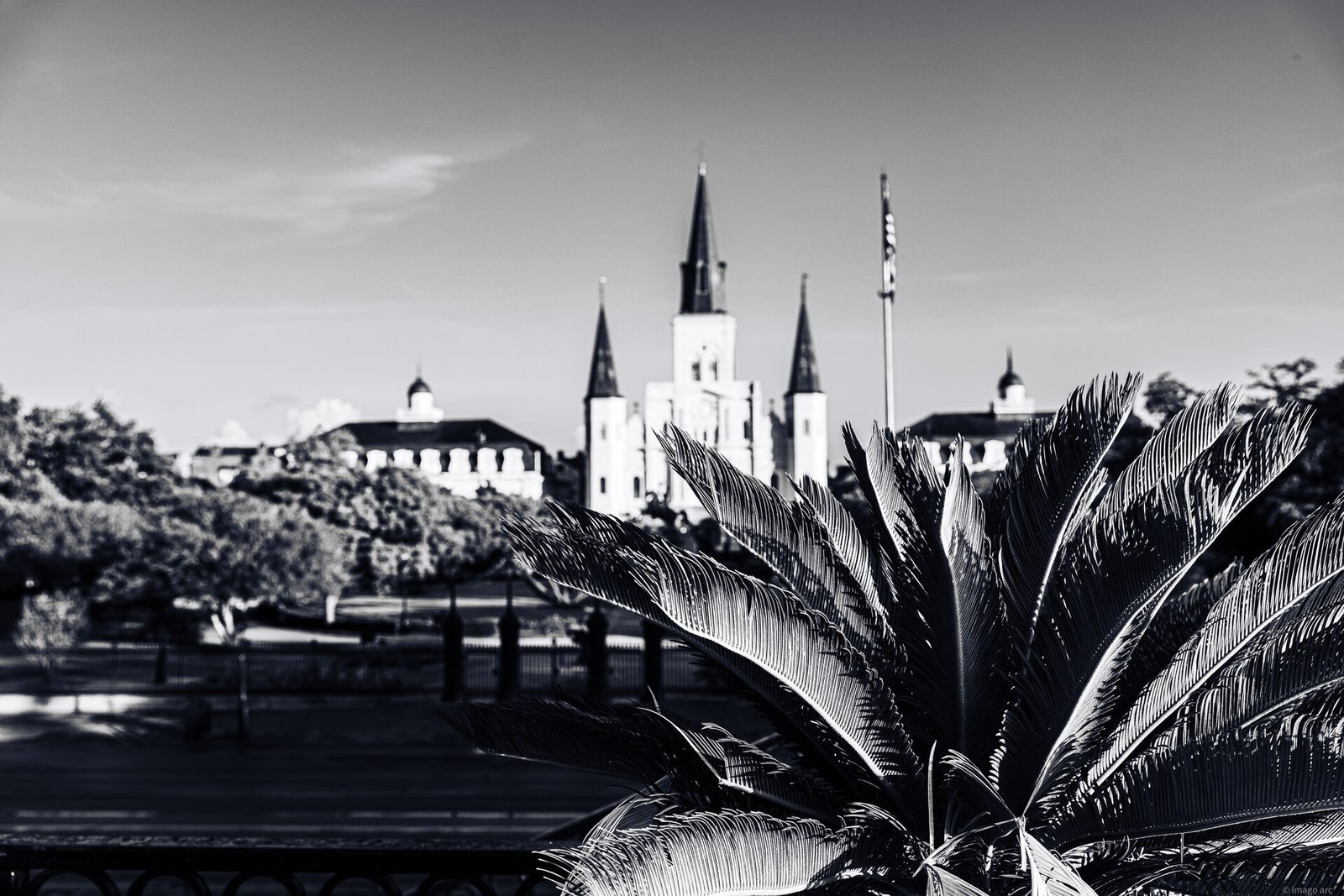 St. Louis Cathedral towering over Jackson Square, New Orleans, Louisiana